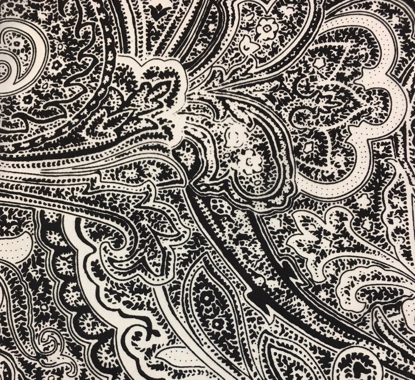 Acanthus Acanthus Frontier Calico Silk Scarf - Image 1