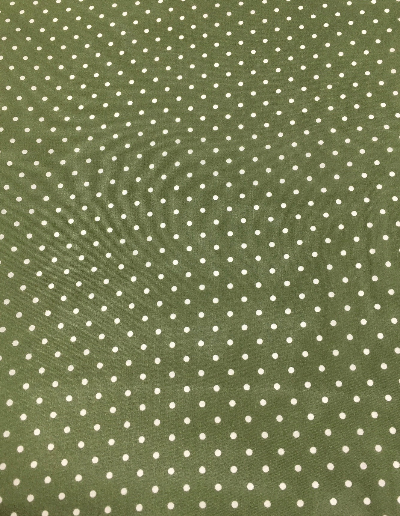IMG_6066 Sage Cowboy Polka Dot Silk Scarf - Image 1