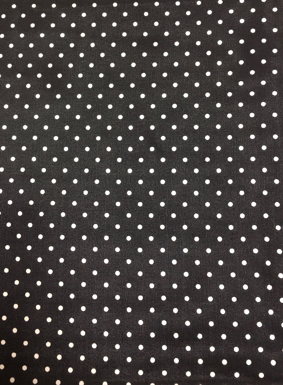 IMG_6070 Black Cowboy Polka Dot Silk Scarf - Image 1