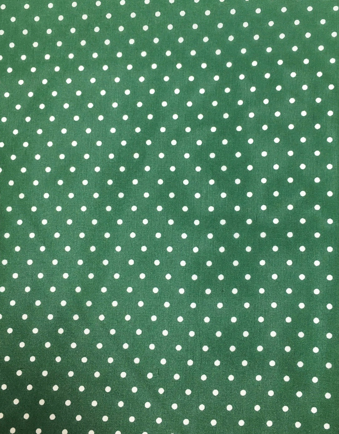 IMG_6075 Forest Cowboy Polka Dot Silk Scarf - Image 1