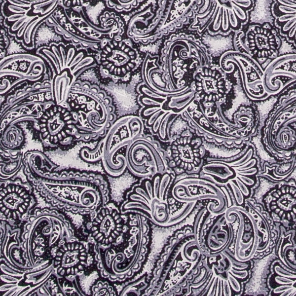 Paisley Silver & Smoke Silver and Smoke Paisley Jacquard Silk Scarf - Image 1