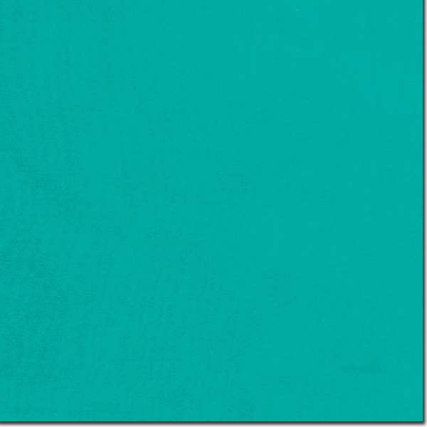 S Emerald Emerald Solid Silk Scarf - Image 1