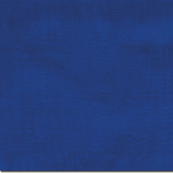 S Royal Royal Solid Silk Scarf - Image 1