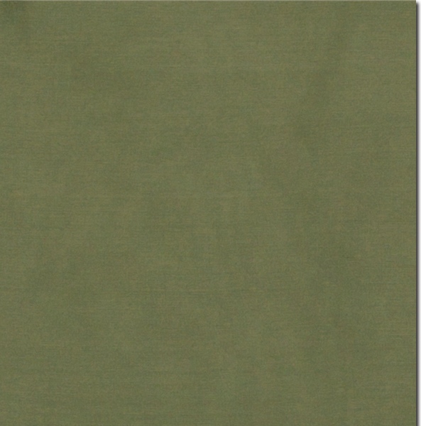 S Sage Sage Solid Silk Scarf - Image 1
