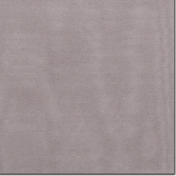 S Silver Silver Solid Silk Scarf - Image 1
