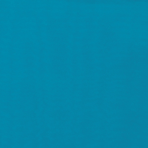 S Turquoise Turquoise Solid Silk Scarf - Image 1