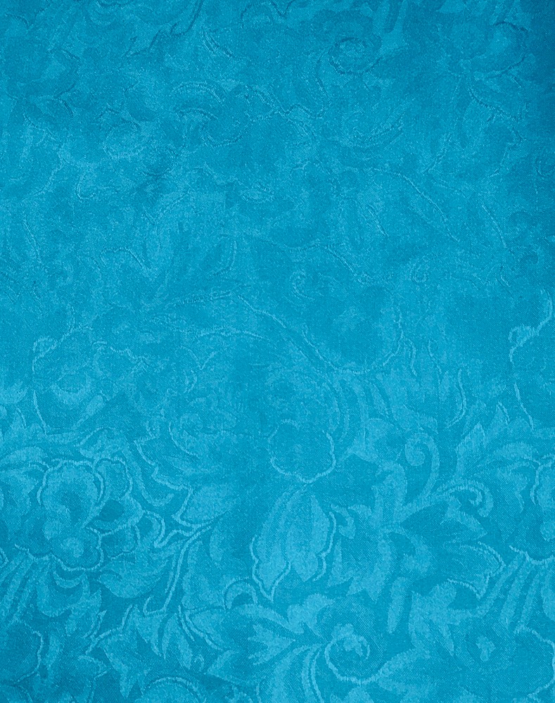 Aqua Aqua Jacquard Silk Scarf - Image 1